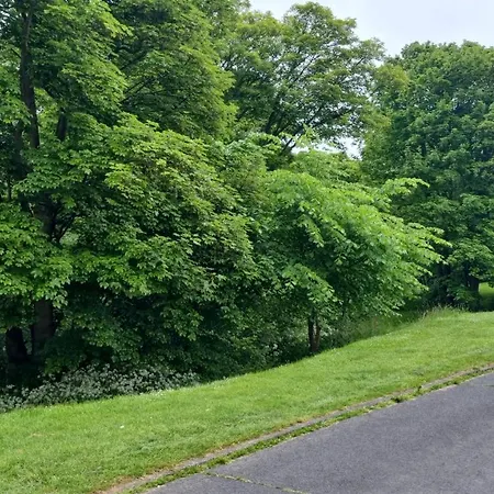 The Woodpecker Scarborough